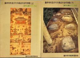 藤井寺市及びその周辺の古代寺院