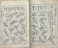牽牛子葉図譜
