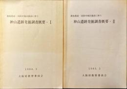 神山遺跡発掘調査概要 : 農免農道・河南中地区建設に伴う