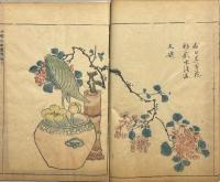 明朝紫硯