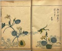 明朝紫硯