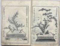 插花美術之詠