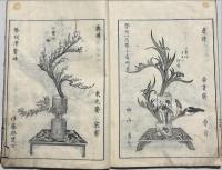 插花美術之詠