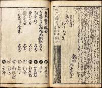 艶詞史残花