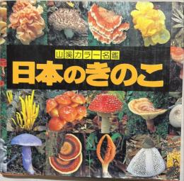日本のきのこ