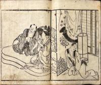 北系兵庫結