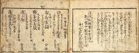 虚実柳巷方言