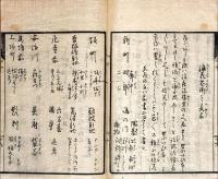 浪花花街今今八卦　附録浪花花街の異名