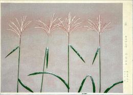 徳岡神泉木版画　薄 ： 近代日本名画撰