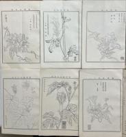 朝顔の研究　第一巻第二、五、六、七、九、十、第二巻第十四号　7冊
