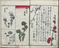 艸筆画譜　初編