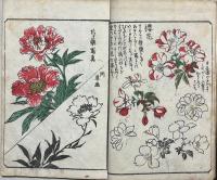 艸筆画譜　初編