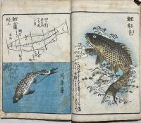 艸筆画譜　初編