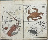 艸筆画譜　初編
