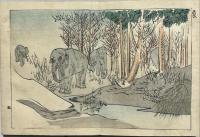 彩色絵本　動物尽くし　　