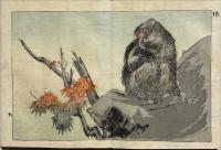彩色絵本　動物尽くし　　