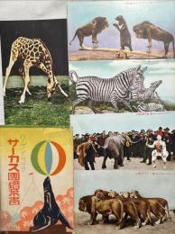 ハーゲン・ベック　サーカス團絵葉書　袋付　5枚