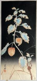 橋本襄画木版画　ほおずきの図