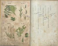 新撰薬用植物図譜