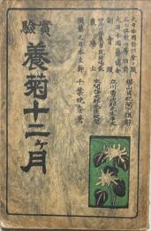 實驗養菊十二ヶ月