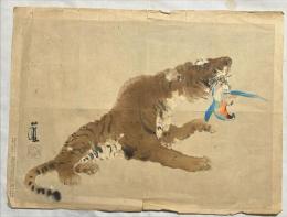 竹内栖鳳木版画　【虎】