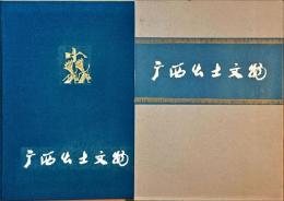広西出土文物