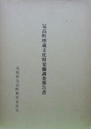 気高町埋蔵文化財発掘調査報告書-県営逢坂地区・県営瑞穂地区ほ場整備事業等に伴う埋蔵文化財発掘調査-(気高町文化財報告書11・1～5)