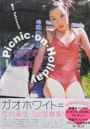 ガオホワイト=竹内実生１st写真集　Picnic on Holliday