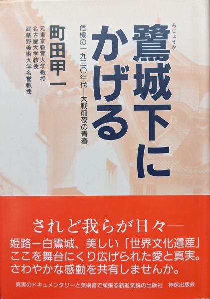 mb3013『闇のカーニバル』B2判ポスター 山本政志 太田久美子