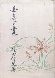 白毫の光