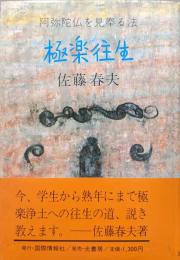 極楽往生−阿弥陀仏を見奉る法−