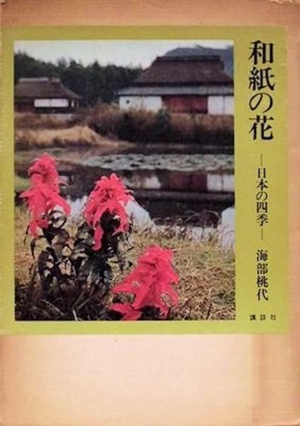 淀井敏夫作品集(淀井敏夫) / 萬字屋書店 / 古本、中古本、古書籍