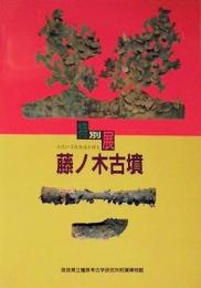 藤ノ木古墳　古代の文化交流を探る