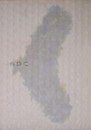 TOYAMA ADC 年鑑 2004