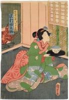 姫比花庫栗実記（万長娘おこま・小栗宗丹実ハ判官・水仕女小萩実ハてるて姫）