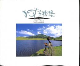 かずら物語　かずら工芸　用稲トミ作品集