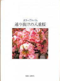 カラーアルバム　通り抜けの八重桜