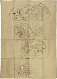 帯　お太鼓柄下絵「貝合わせ」