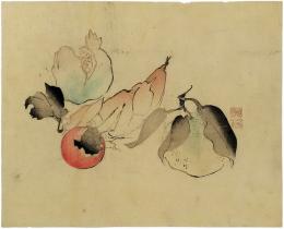 長谷川貞信（二代）　木版画「梨　柿　柘榴　玉蜀黍」（仮）