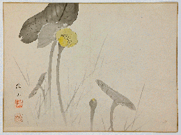 森雄山　木版画「花鳥画」