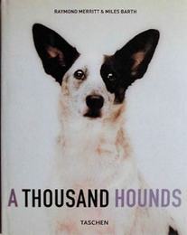 A THOUSAND HOUNDS