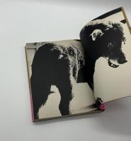 犬の記憶　終章