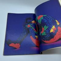 篠山紀信と28人のおんなたち