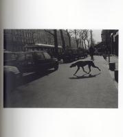 『署名入』The Dog in France