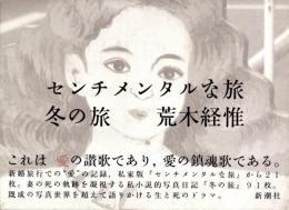 センチメンタルな旅・冬の旅
