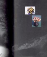 プリンツ21　アラーキー