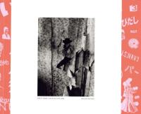 『署名入』SWEET HOME YOKOSUKA 1976-1980