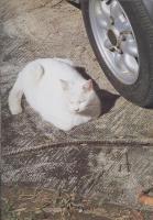 原点復帰ー横浜