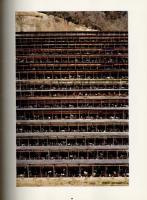 ANDREAS GURSKY