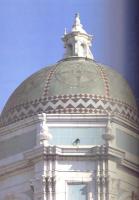 美の彷徨　テラコッタ